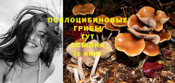 трава Россошь
