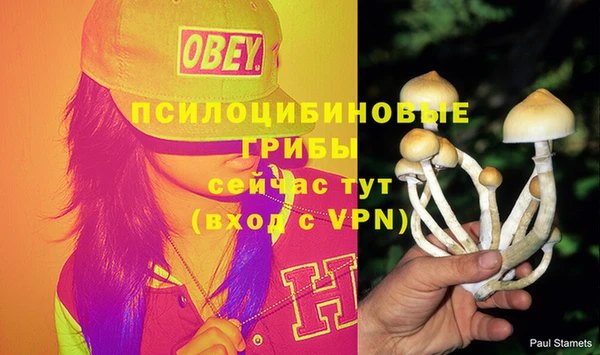 мяу мяу мука Арсеньев
