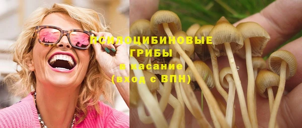дурь Аркадак