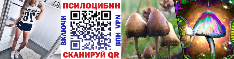 Галлюциногенные грибы Cubensis  Гай 